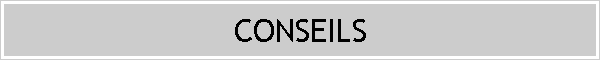CONSEILS